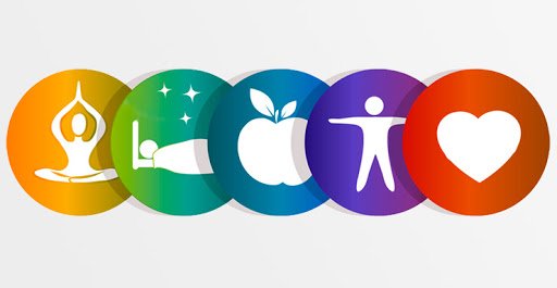The Science of Ergonomics: How Premium Workspace Hardware Protects Long-Term Health